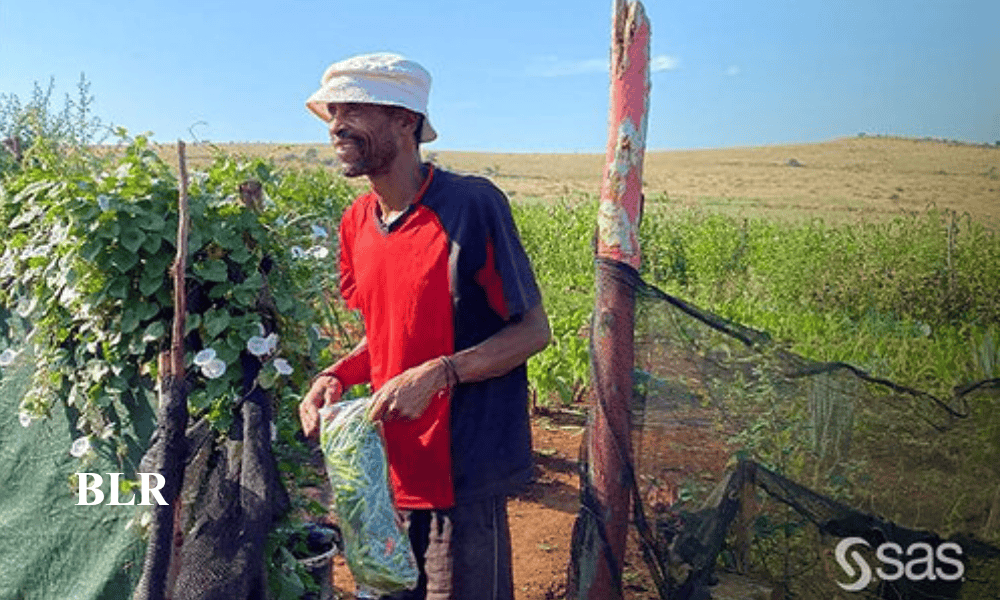 SAS Helps South African Micro-farmers Use Data Analytics to Improve Crop Planning SAS Helps South African Micro-farmers Use Data Analytics to Improve Crop Planning